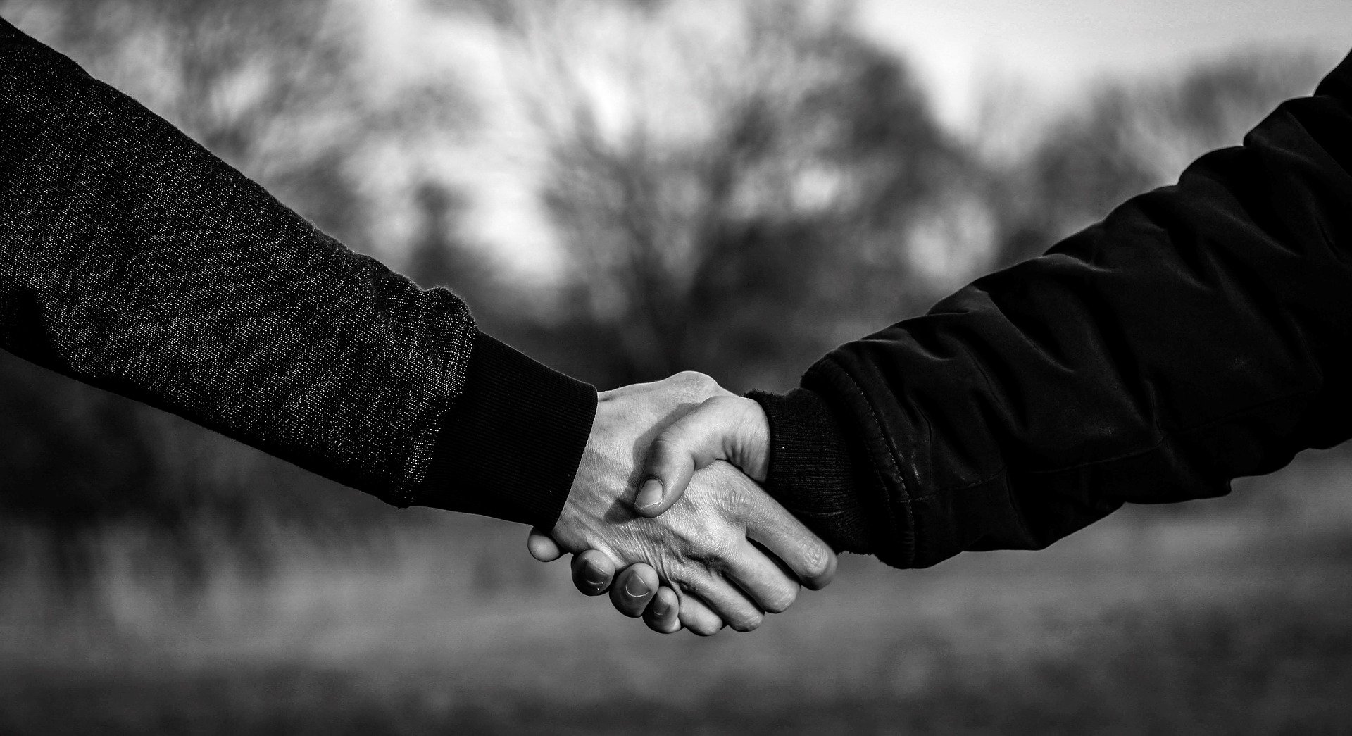 Handshake 4040911 1920
