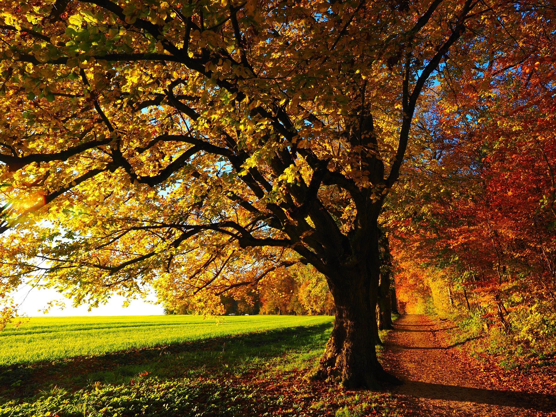 Autumn Ge100fcd7a 1920